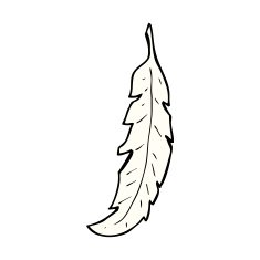 Cartoon Feather N3