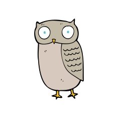 Cartoon Owl N29