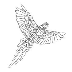 Zentangle stylized macaw parrot Sketch for tattoo or t-shirt