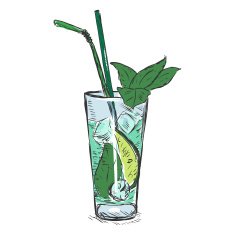 Vector Color Sketch Cocktail Mojito