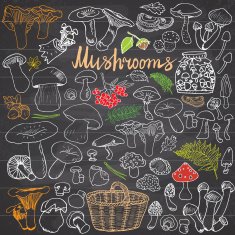 Mushrooms sketch doodles hand drawn set N3