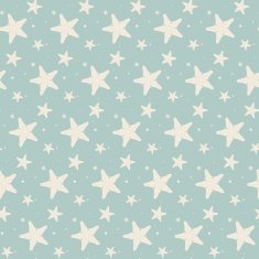 Star N2