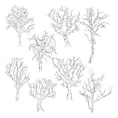Vector Set of Sketch Bare Trees
