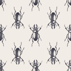 Beetles vintage seamless pattern N4