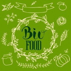 Organic bio ecology natural logotypes elements set
