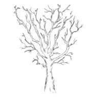 Vector Single Sketch Bare Tree N6