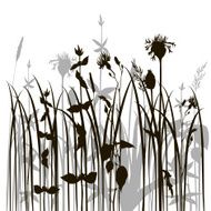 silhouettes of herbs and flowers