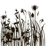 silhouettes of herbs and flowers N2