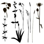 silhouettes of herbs and flowers N3