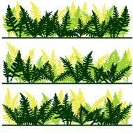 Set of ink drawing fern leaves N3