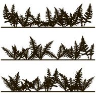 Set of ink drawing fern leaves N4