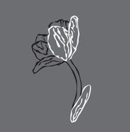 cartoon flower N17