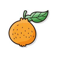 fruits orange doodle N2