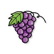 fruits grape doodle N3