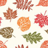 pattern of autumn leaves