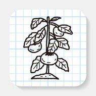 plant doodle N57