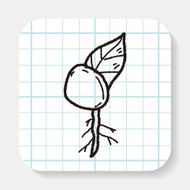 plant doodle N63