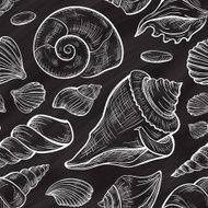 Vector seashells seamless pattern Chalkboard style