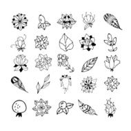 Set of hand drawn mystical plants