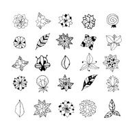 Set of hand drawn mystical plants N2