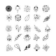 Set of hand drawn mystical plants N3