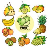 set of colorful hand draw fruit