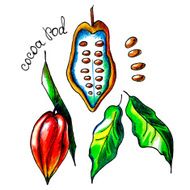 cocoapod
