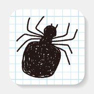 spider doodle