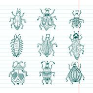 Vector Insects set Bugs N2