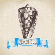 Seashell hand drawn sketch Vintage illustration N8