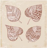 Set of zentangle-style leaves N5