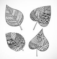 Set of zentangle-style leaves N6