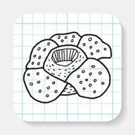 Flower doodle N24