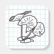 Lotus leaf doodle