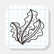 Kelp doodle