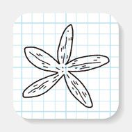 Starfish doodle