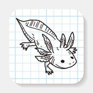 salamander doodle