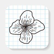 Flower doodle N48