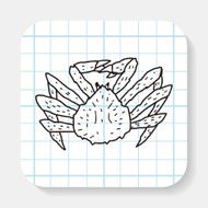 Crab doodle N4