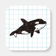 Killer Whale doodle