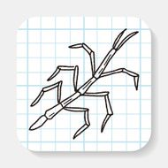 Stick insect doodle