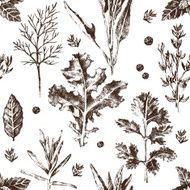 seamless pattern with hand drawn herbs and spices