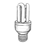 Light Bulb Vector N8