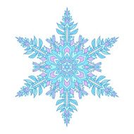 Hand-drawn doodles natural color snowflake Zentangle mandala style N5