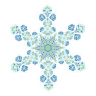 Hand-drawn doodles natural color snowflake Zentangle mandala style N6