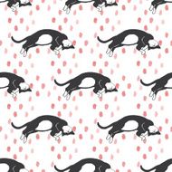 Cat N20