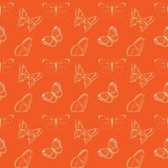 Butterflies insect seamless background pattern