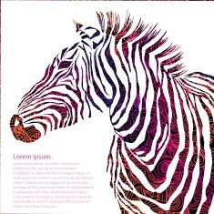 Animal ornamental silhouette zebra Vector illustration