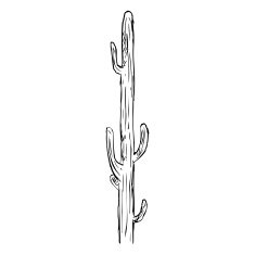 Vector Single Sketch Cacti N7