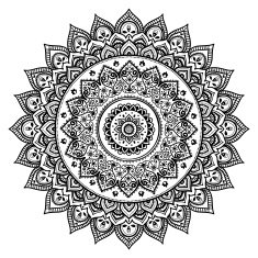 Beautiful Indian floral mandala ornament N6